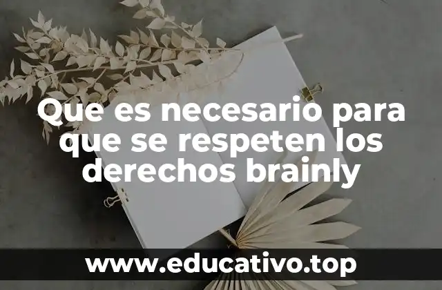 Que es necesario para que se respeten los derechos brainly