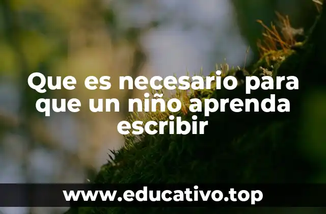 Que es necesario para que un niño aprenda escribir