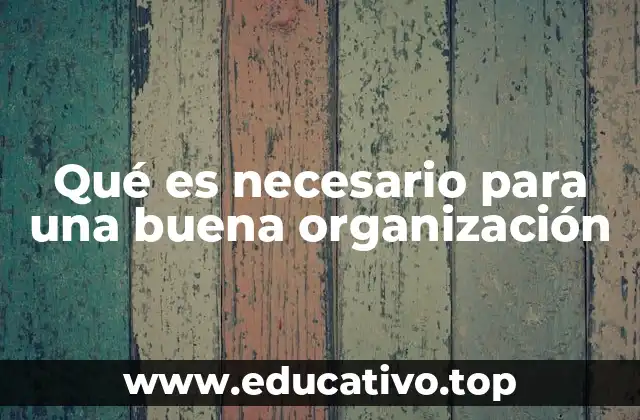 Qué es necesario para una buena organización