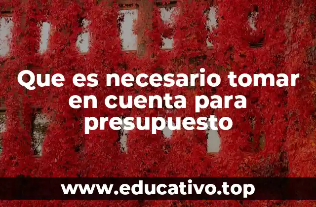 Que es necesario tomar en cuenta para presupuesto
