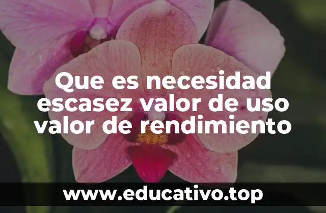 Que es necesidad escasez valor de uso valor de rendimiento