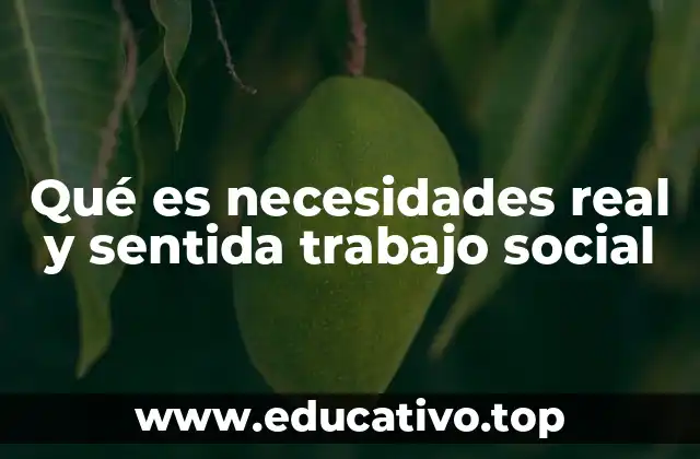 Qué es necesidades real y sentida trabajo social