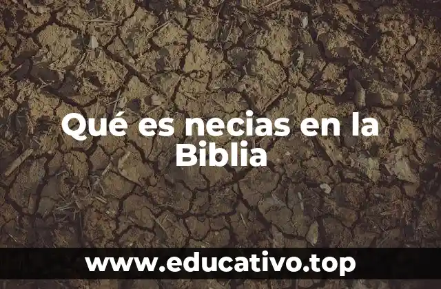 La necedad como contraste con la sabiduría bíblica