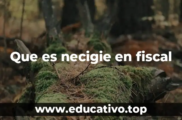 Que es necigie en fiscal