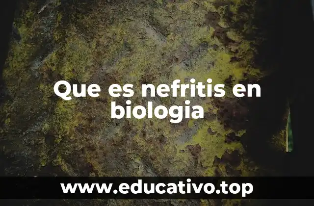 Que es nefritis en biologia