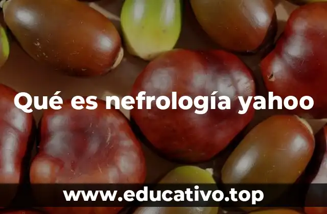 Qué es nefrología yahoo