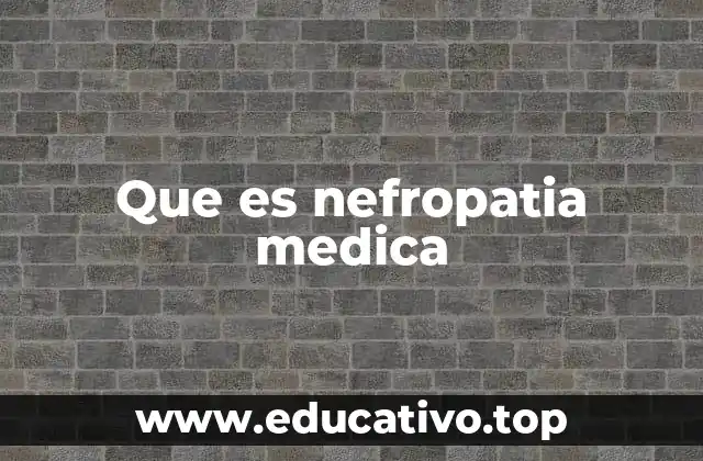 Causas y factores de riesgo de la nefropatía