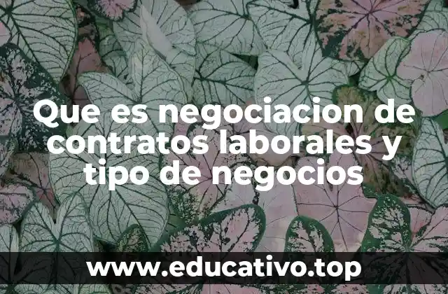 Que es negociacion de contratos laborales y tipo de negocios