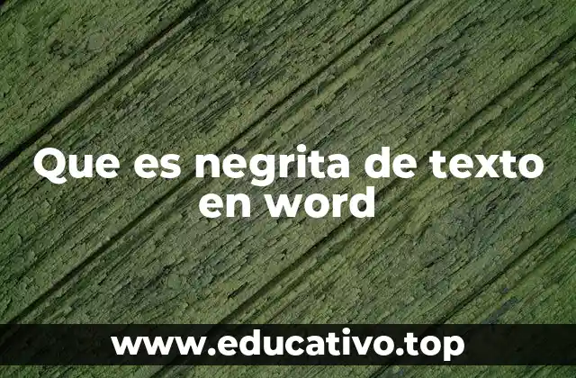 Que es negrita de texto en word