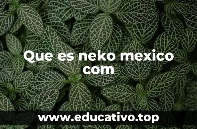 Que es neko mexico com