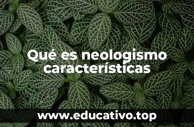 Qué es neologismo características