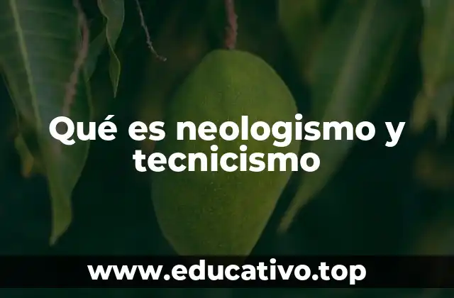 Qué es neologismo y tecnicismo