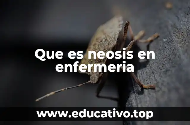 Que es neosis en enfermeria