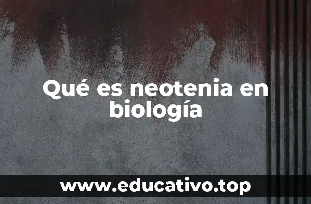Qué es neotenia en biología