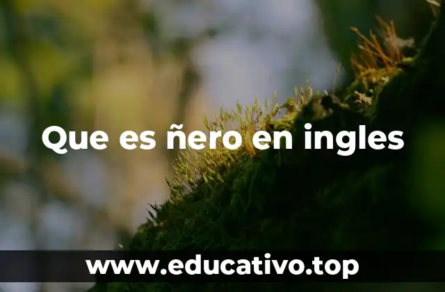 Que es ñero en ingles