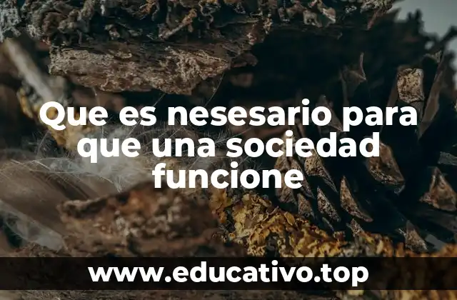 Fundamentos esenciales para la operación de una comunidad organizada