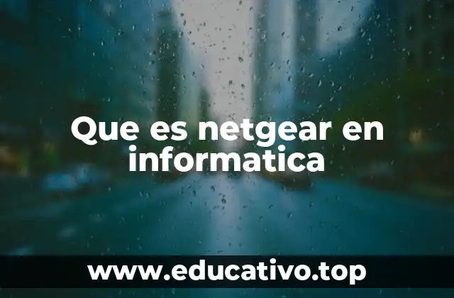 Que es netgear en informatica