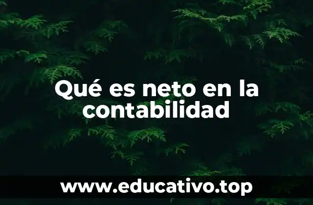 Qué es neto en la contabilidad
