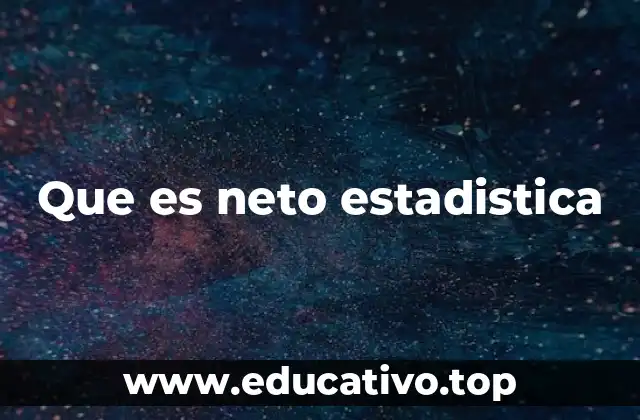 Que es neto estadistica