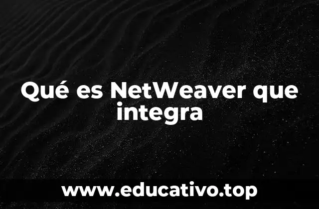 Qué es NetWeaver que integra