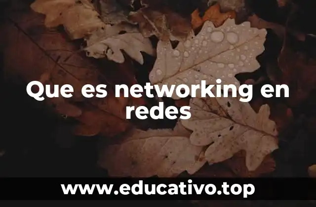 La importancia del networking en el entorno digital