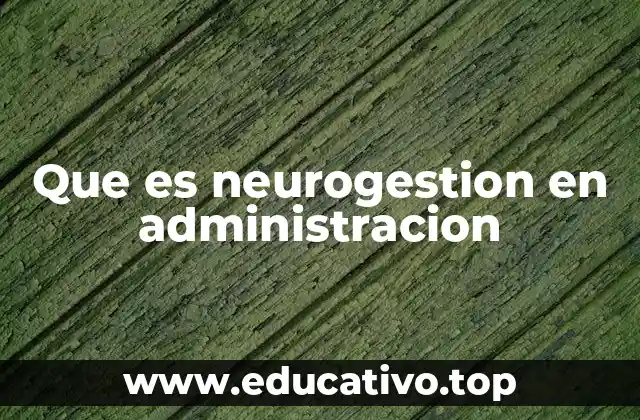 Que es neurogestion en administracion
