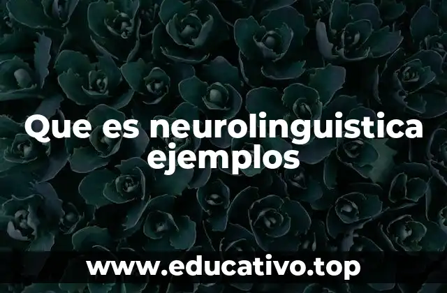 Que es neurolinguistica ejemplos