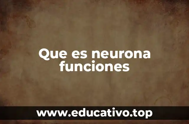 Que es neurona funciones