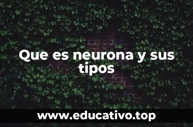 Que es neurona y sus tipos