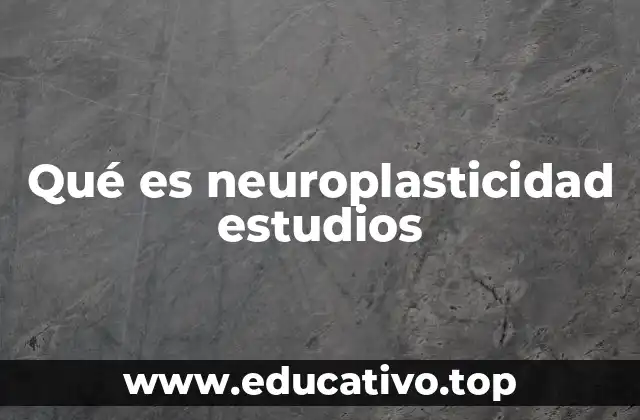 Qué es neuroplasticidad estudios