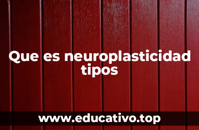 Cómo el cerebro se adapta a lo largo de la vida