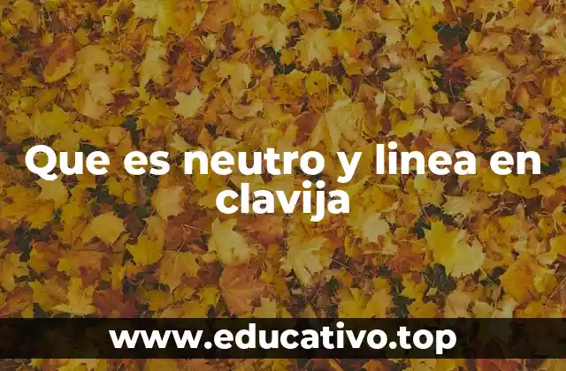 Cómo identificar el neutro y la línea en una clavija