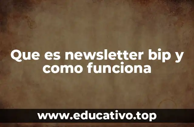 Que es newsletter bip y como funciona