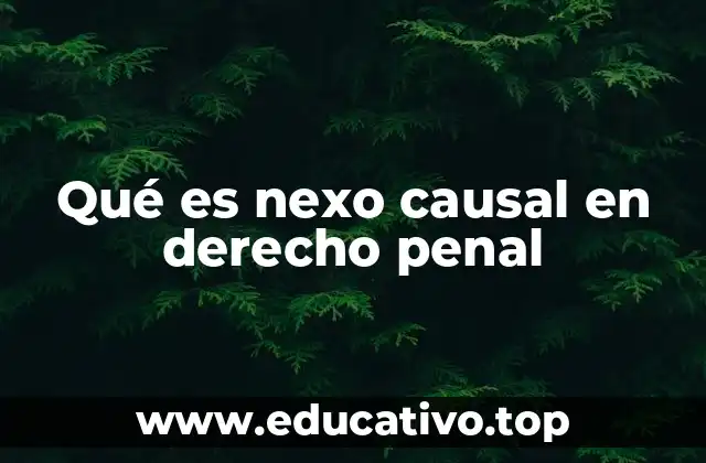 Qué es nexo causal en derecho penal