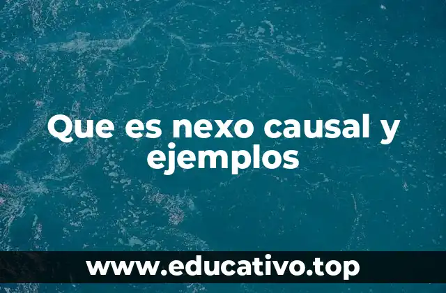 Que es nexo causal y ejemplos
