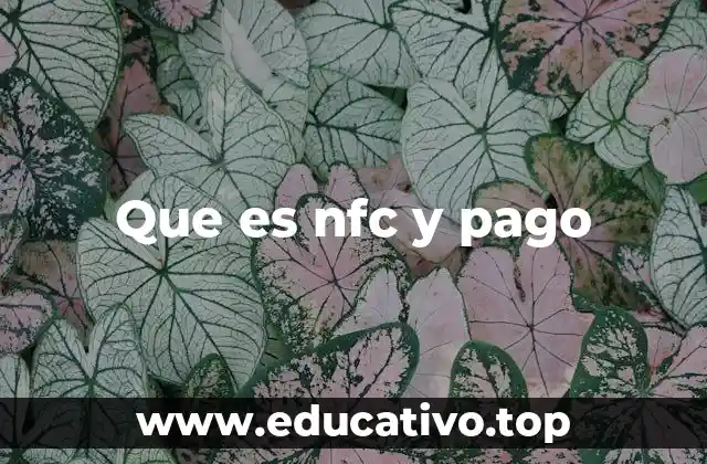 Que es nfc y pago