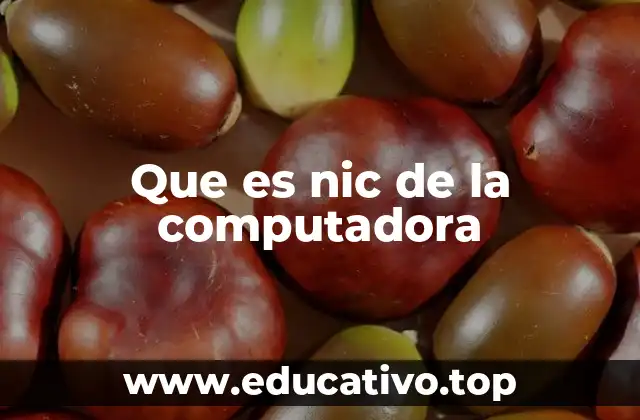 Que es nic de la computadora