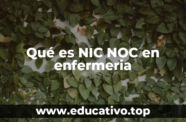 Qué es NIC NOC en enfermeria