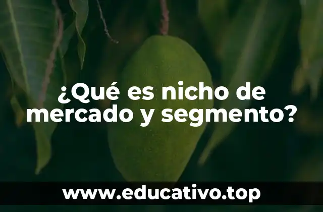¿Qué es nicho de mercado y segmento?