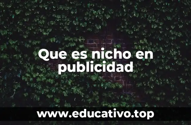 Que es nicho en publicidad