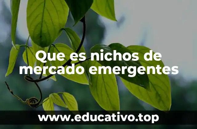 Que es nichos de mercado emergentes