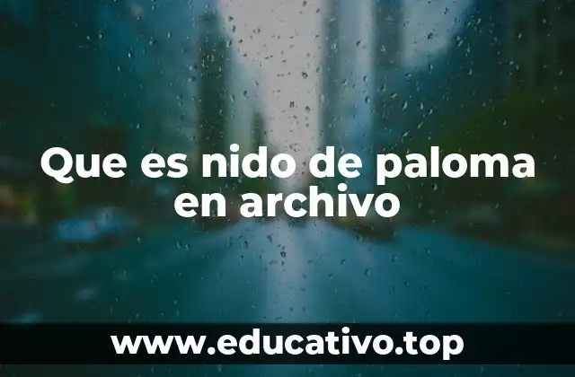 Que es nido de paloma en archivo