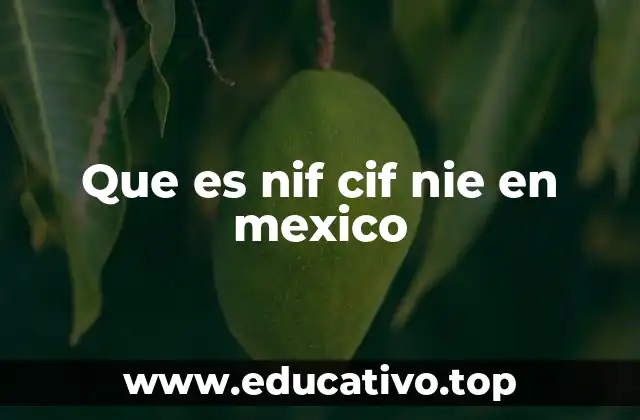 Que es nif cif nie en mexico