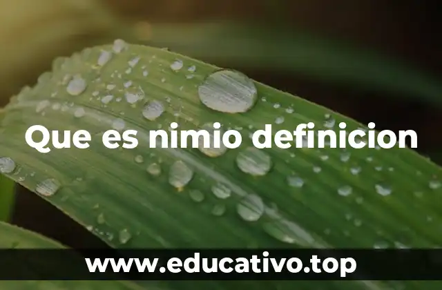 Que es nimio definicion