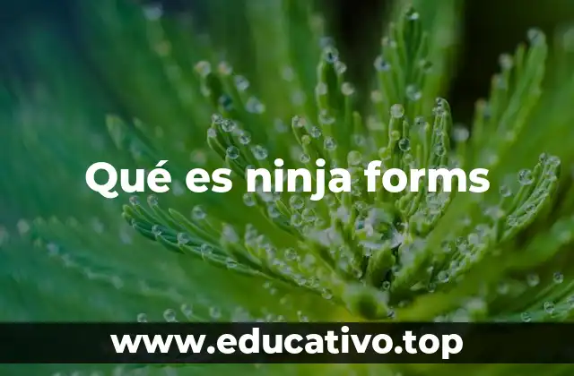 Qué es ninja forms