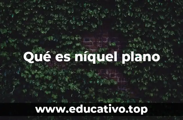 Qué es níquel plano