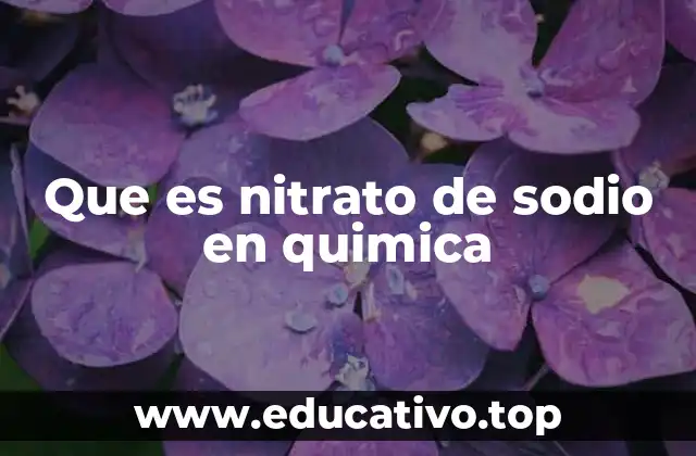 Que es nitrato de sodio en quimica
