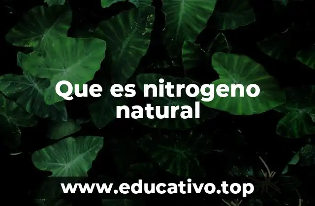 Que es nitrogeno natural