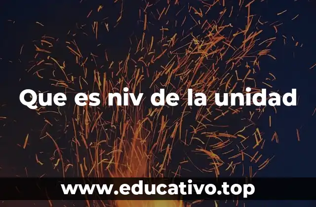 Que es niv de la unidad