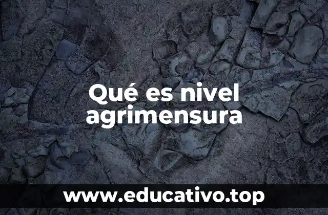 Qué es nivel agrimensura